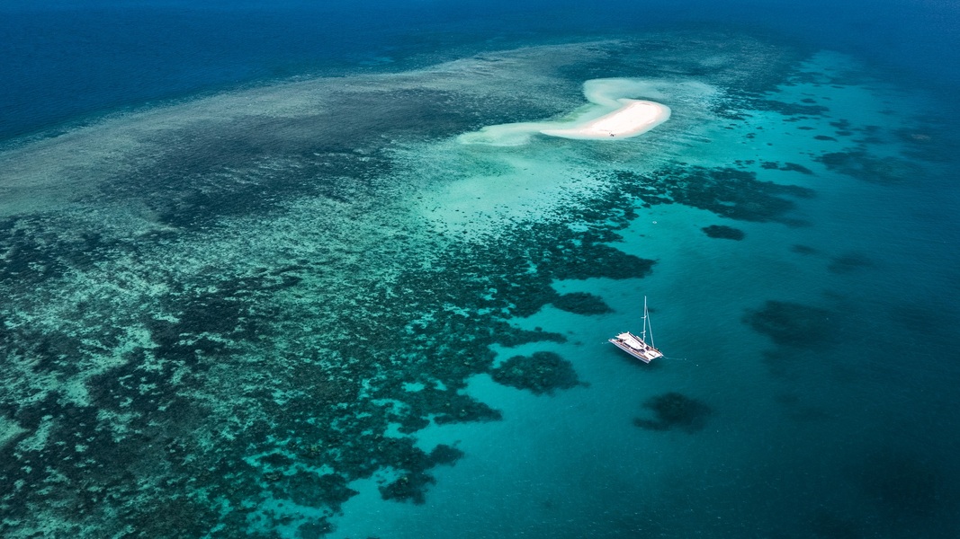 reef tours from daintree